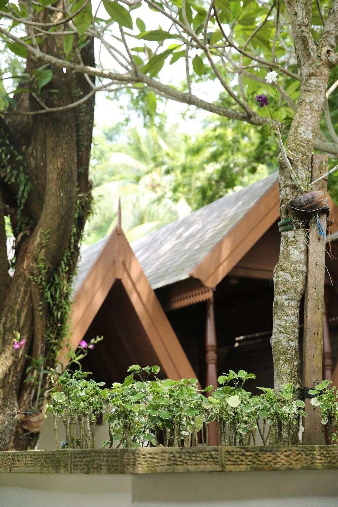 明星sl的溫馨日常，愛與陪伴的力量