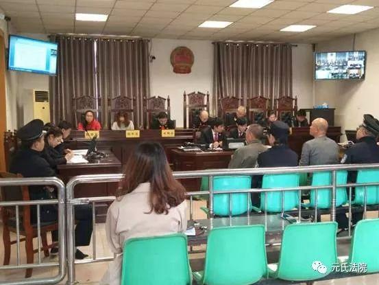 元氏最新案件，心靈與自然的神秘交織之旅