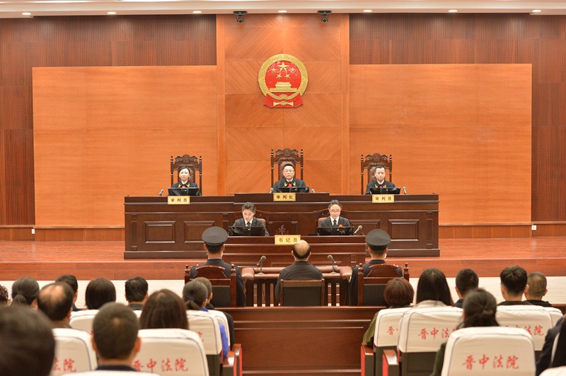 季緗綺副省長最新動態(tài)揭秘，日常趣事與深厚友情展現(xiàn)風(fēng)采