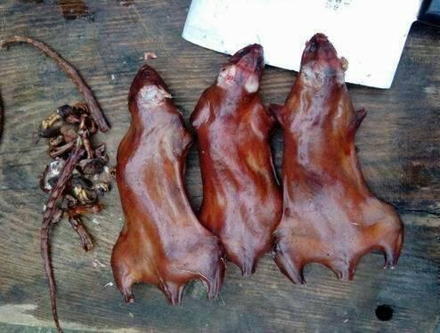 湛江田鼠收購(gòu)信息與實(shí)現(xiàn)夢(mèng)想，學(xué)習(xí)變化，自信助力前行