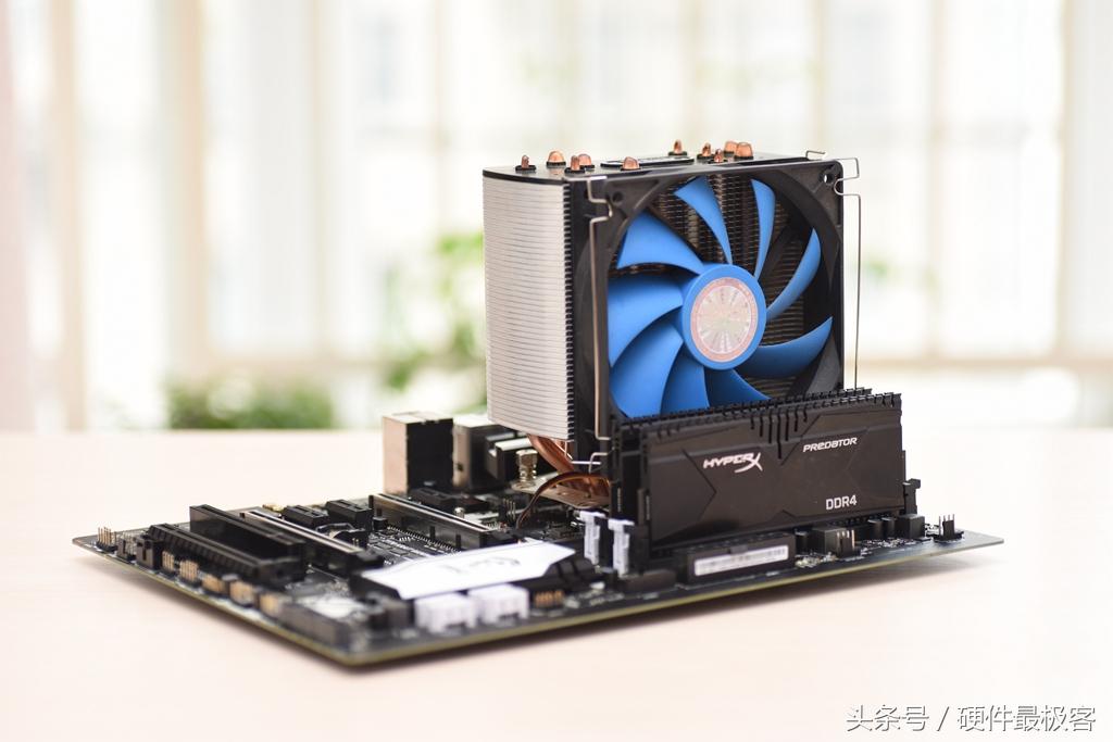 銀環(huán)蛇的價(jià)格，蛻變之路的自信與成就感展現(xiàn)