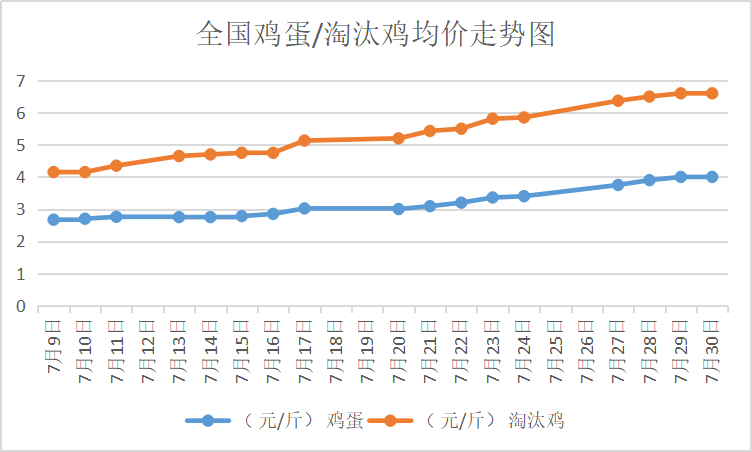 北京大洋路雞蛋今日行情，探尋內(nèi)心平靜的雞蛋之旅