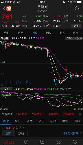 000007股票,揭秘000007股票，投資潛力與風(fēng)險(xiǎn)并存