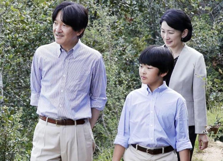 妯娌之間電視劇全集,妯娌之間，電視劇的全集解析與深度回顧