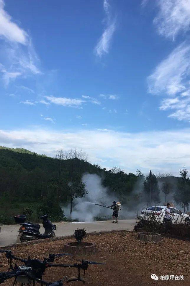 最新蝗蟲(chóng)災(zāi)害動(dòng)態(tài),最新蝗蟲(chóng)災(zāi)害動(dòng)態(tài)，應(yīng)對(duì)與防治的詳細(xì)步驟指南