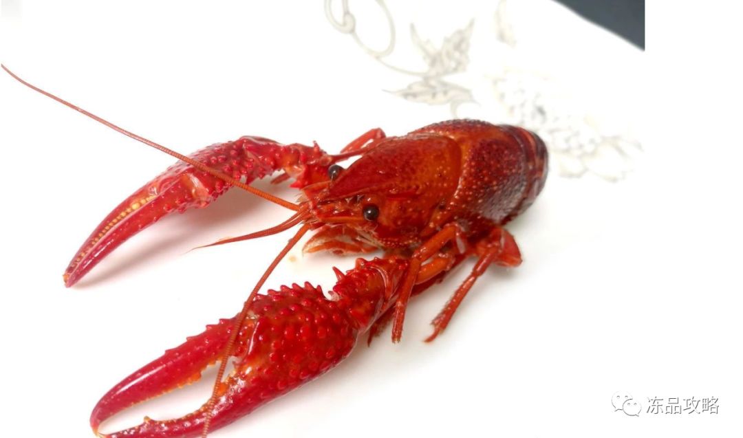 龍蝦價格變遷，時代印記與特定影響因素的探究