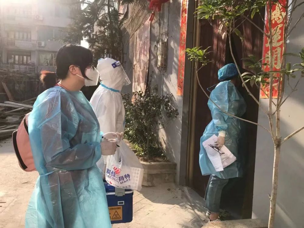 福鼎最新疫情動(dòng)態(tài),福鼎最新疫情動(dòng)態(tài)，觀點(diǎn)闡述與分析