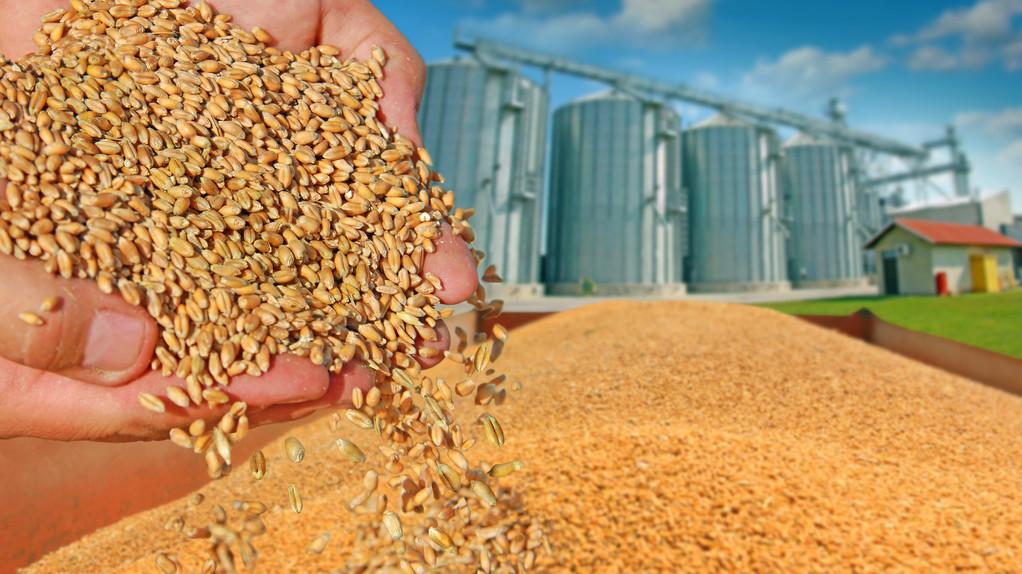 山東今日玉米市場(chǎng)價(jià)格,山東今日玉米市場(chǎng)價(jià)格分析與展望