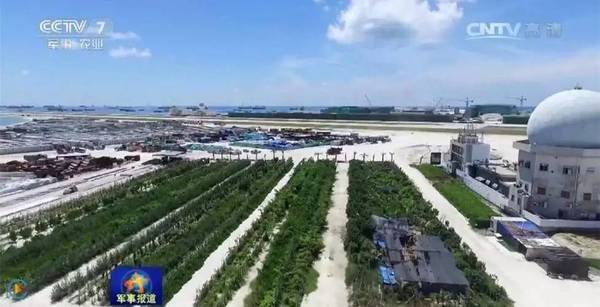 南沙島礁建設(shè)最新進展揭秘，南沙建設(shè)進展圖片探秘與小巷深處的神秘寶藏