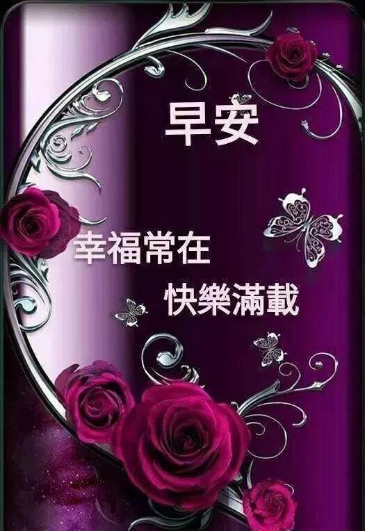 微信電腦版更新指南，詳細(xì)步驟教程