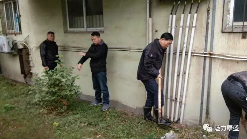 草社區(qū)最新動(dòng)態(tài)，友情綠意下的愛與陪伴的種子生根發(fā)芽