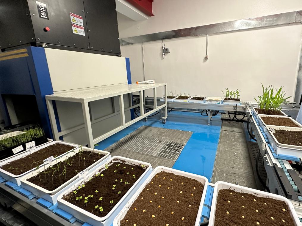 喬元利最新動態(tài)，成長軌跡揭秘與未來展望