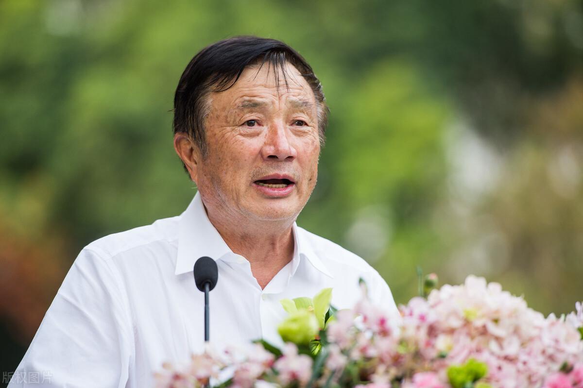 芯片的奇妙股市之旅，探索芯片之家的股票版圖