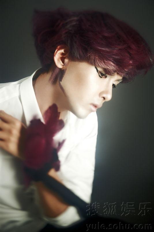 SJ明星揭秘，探索自然美景之旅，尋找內(nèi)心的平靜與喜悅之旅