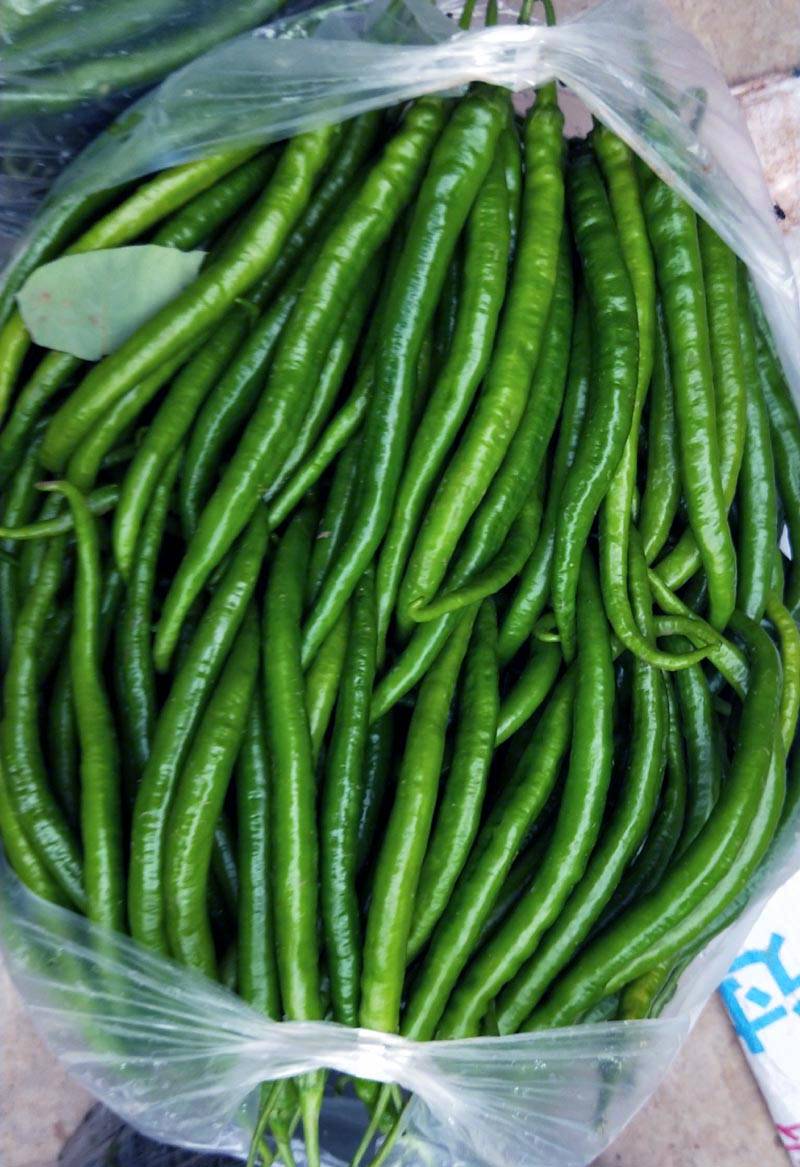 最新線椒種子品種引領(lǐng)時(shí)代味覺(jué)革命