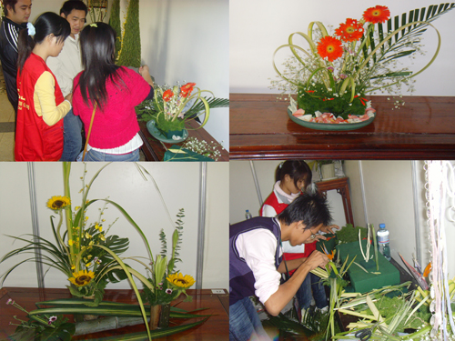 最新花藝風(fēng)采，展現(xiàn)創(chuàng)造力與自信的絕美藝術(shù)