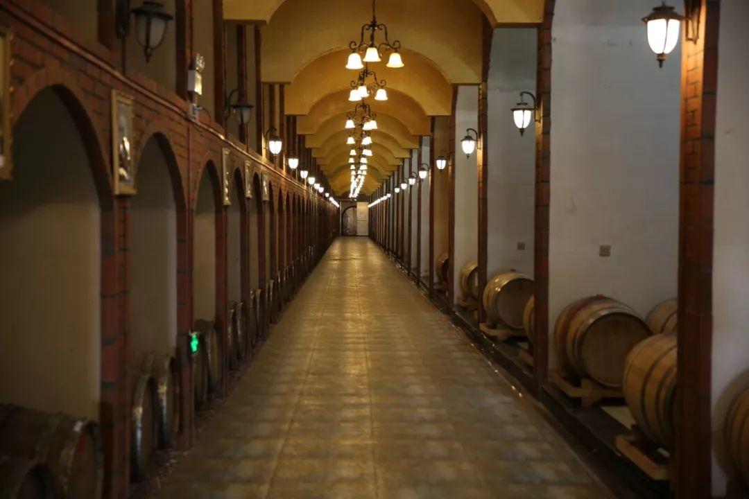 蘇州信匯達(dá)最新動(dòng)態(tài)，友情的紐帶與溫馨的陪伴