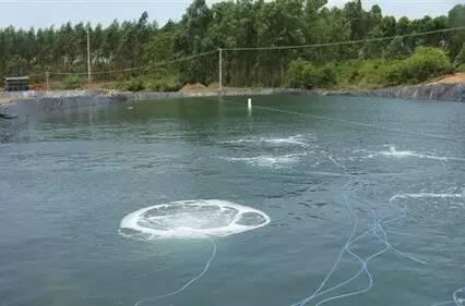 池晚與老公情感復合的深層次探討及最新章節(jié)更新動態(tài)