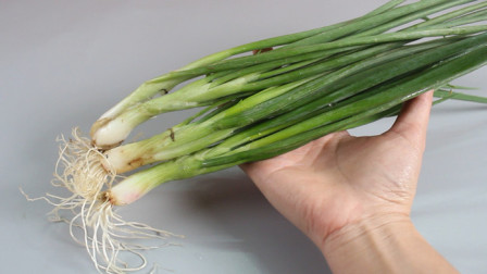 隆化新鮮資訊,隆化新鮮資訊，高科技產品引領未來，體驗前所未有的智能生活