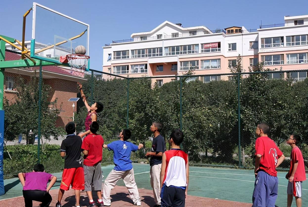 高考最新動(dòng)態(tài),高考最新動(dòng)態(tài)，一場(chǎng)心靈與自然的奇妙旅行