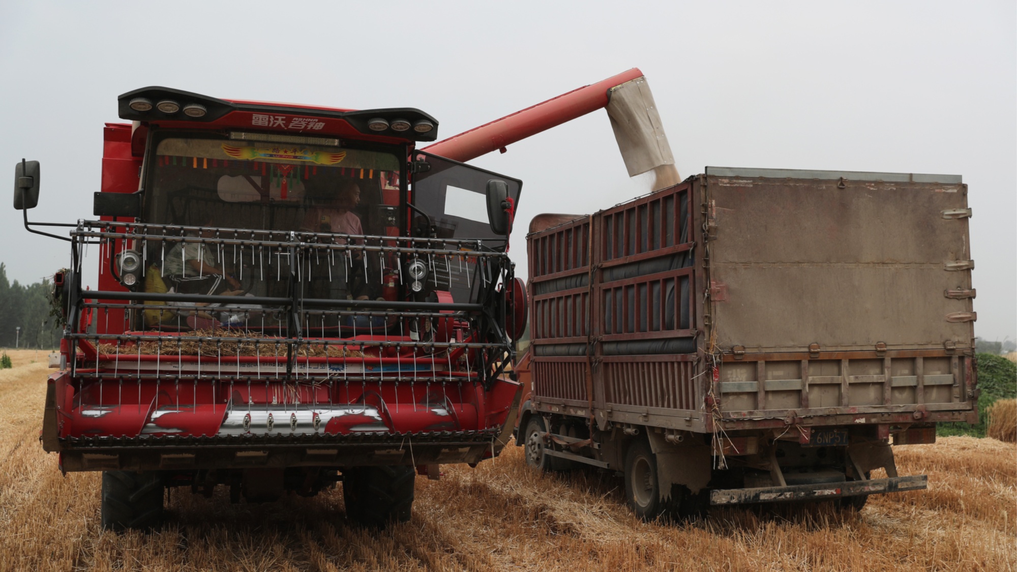 2025年澳門全年免費大全,農(nóng)業(yè)機械化與電氣化_旗艦設(shè)備版39.429
