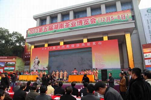 陳社強最新動態(tài)揭秘，最新進展與活動報道??