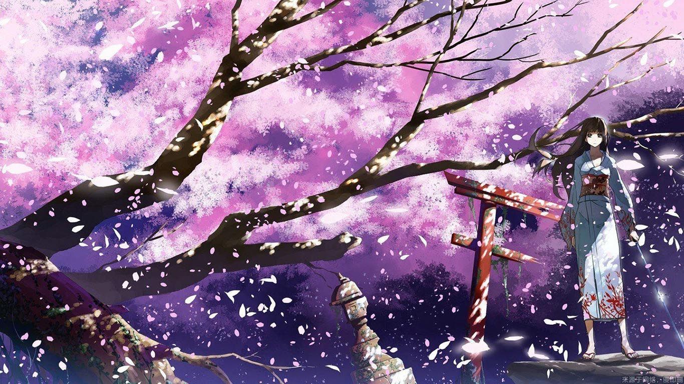 櫻花動漫電腦，值得關注還是過客？品牌深度解析