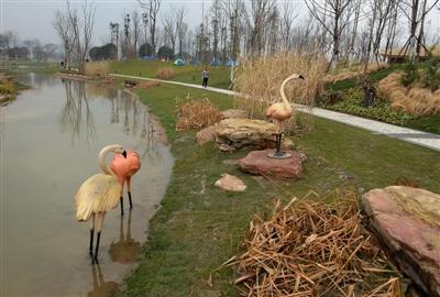 今年引領(lǐng)潮流的高科技產(chǎn)品體驗與功能亮點揭秘