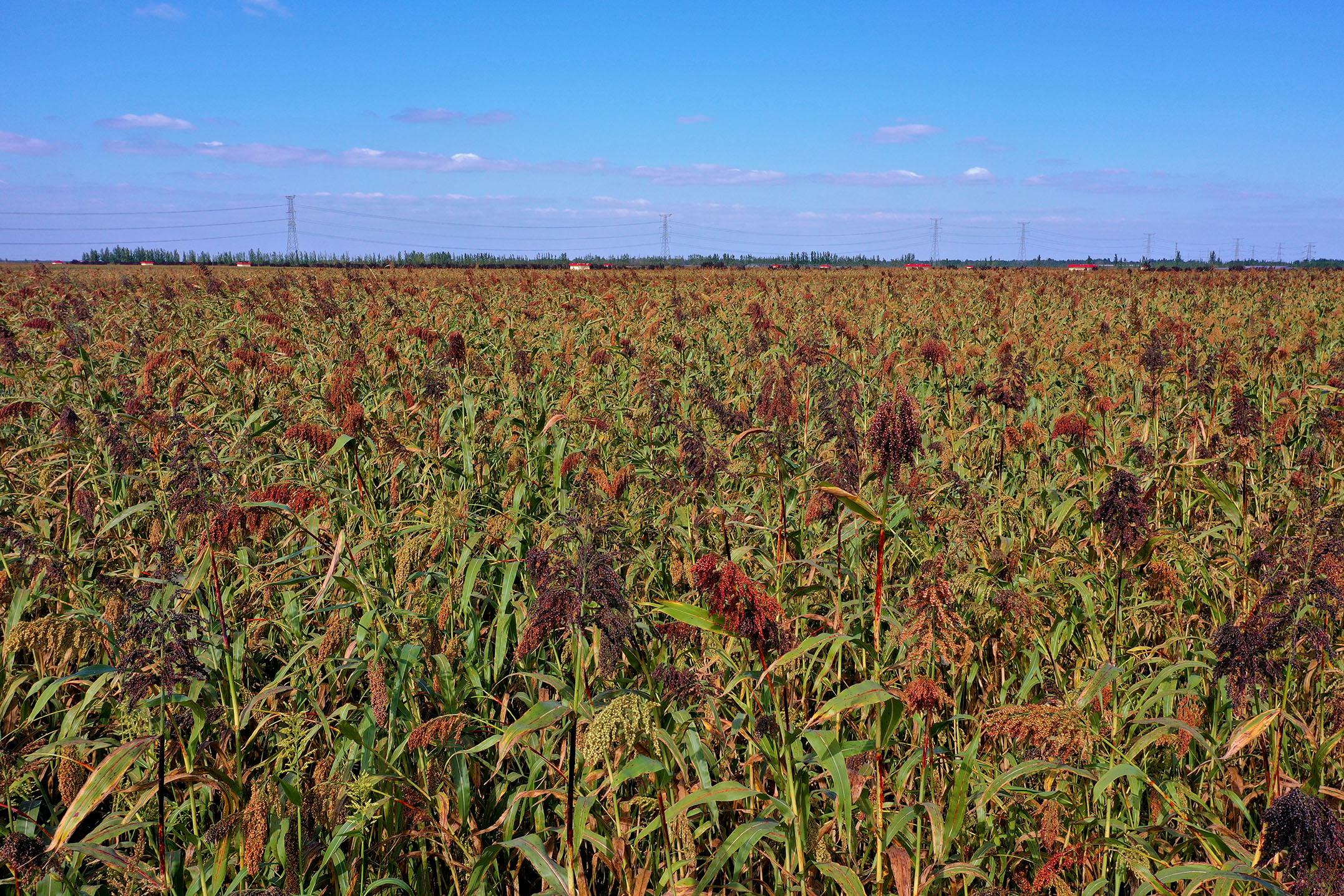 電視劇與自然美景之旅，探尋內(nèi)心的平和與喜悅之旅