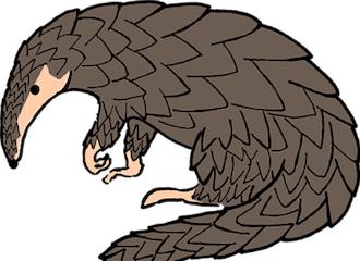 揭秘最新病毒資訊，你必須了解的事！