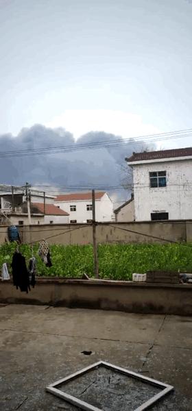 灌南最新動態(tài)，自然美景探索之旅的治愈力量