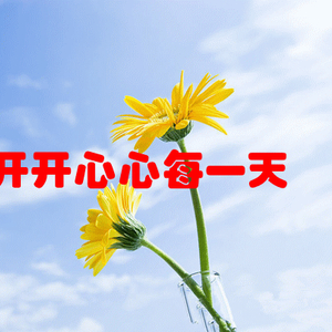 “最新貓咪動(dòng)態(tài)”,最新貓咪動(dòng)態(tài)，小巷深處的貓步輕揚(yáng)特色小店