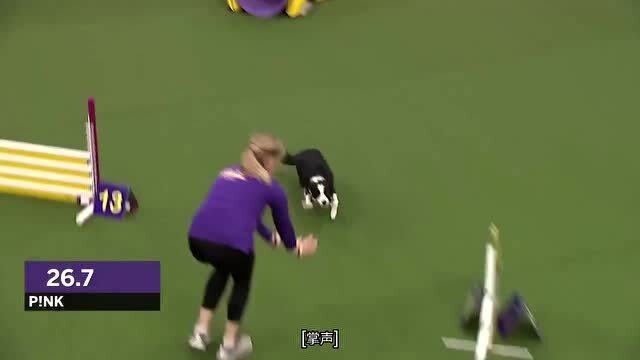 敏捷比賽全攻略，從入門到精通的競賽指南