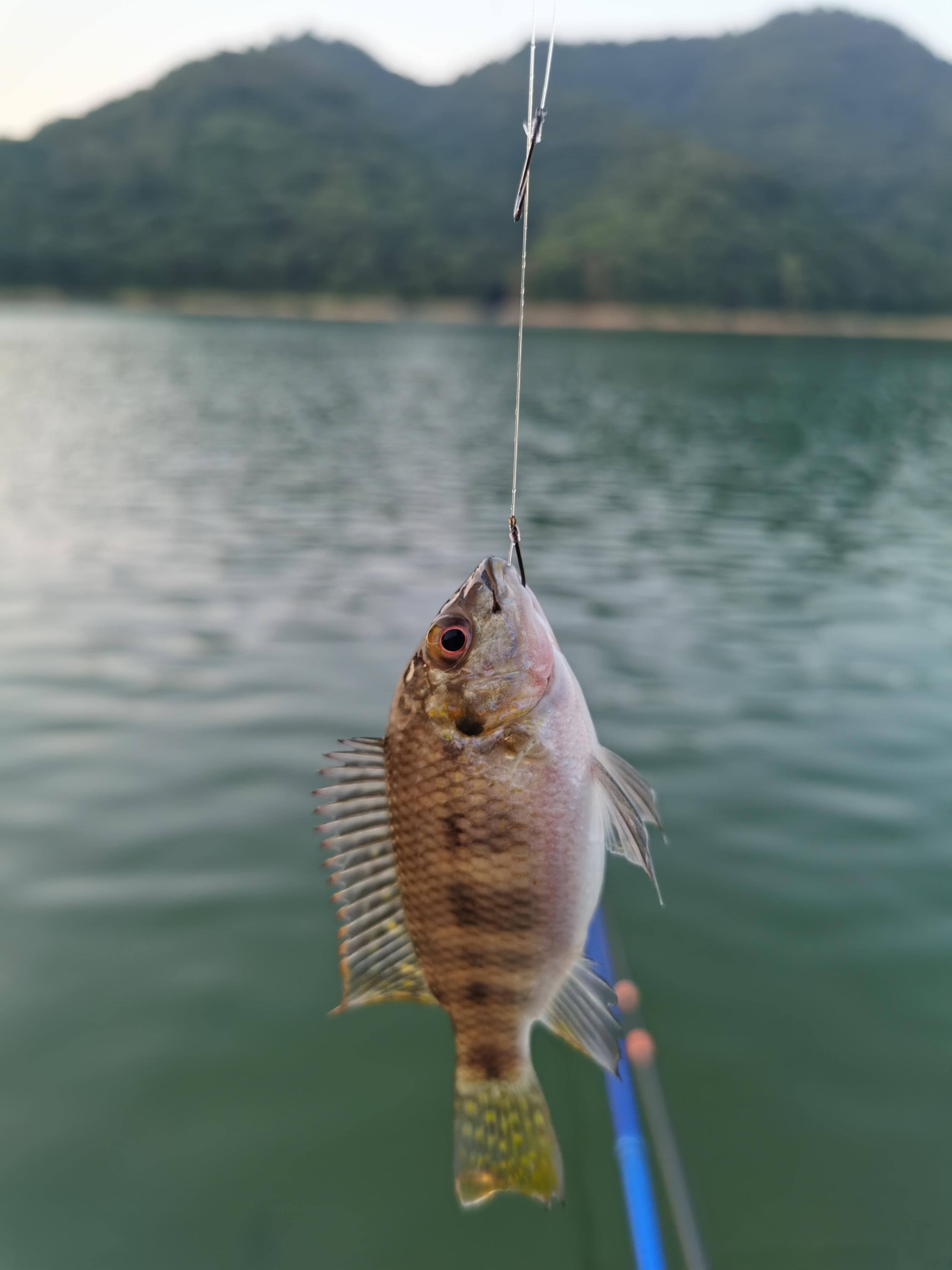 小新續(xù)集最新版，科技與生活融合的新篇章