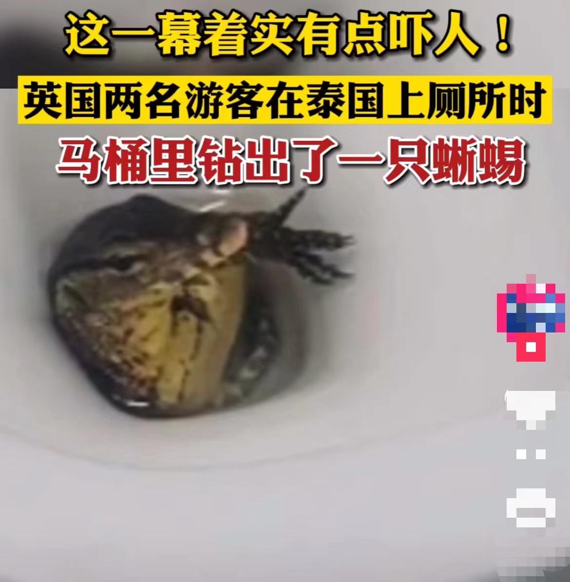 最新蛇咬事件，自然探險之旅遭遇意外危機