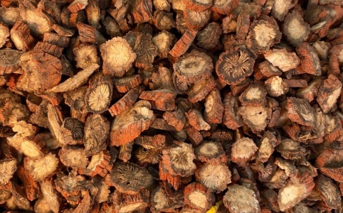 丹參行情深度解析，市場(chǎng)走勢(shì)與多方觀點(diǎn)探析