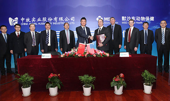 中牧股份最新動態(tài)，行業(yè)巨頭引領畜牧業(yè)發(fā)展