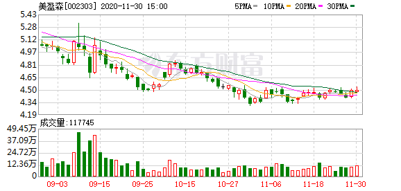 美盈森股票，小巷特色小店的無限魅力探索