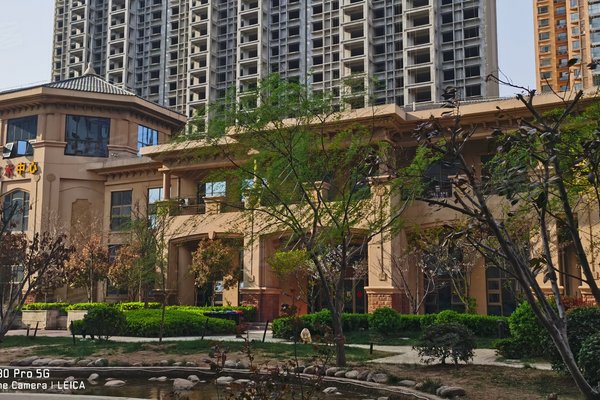 安陽帕提歐，巷深美食秘境，最新資訊盡在其中！