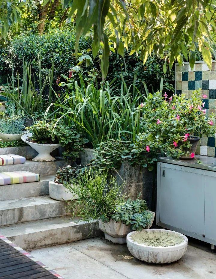 妙手回春再現(xiàn)輝煌，傳統(tǒng)醫(yī)術(shù)的再生與最新進(jìn)展