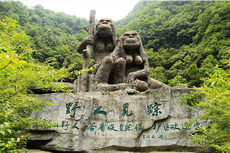 神農(nóng)架景區(qū)門票價格詳解，全方位了解門票費用