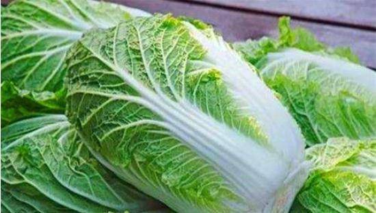 優(yōu)質(zhì)大白菜購買指南，價格查詢與選購要點詳解