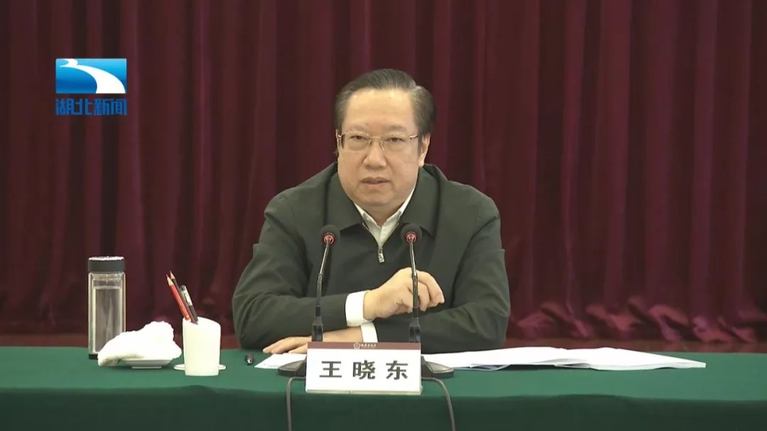 都市放牛演員王曉東，演技與多維影響力的深度解讀