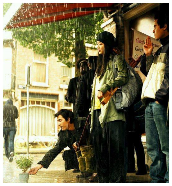 韓國電影雛菊，與自然美景的對話之旅，探尋內(nèi)心平和與喜悅的旅程