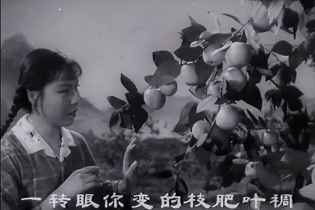 電影朝陽溝之高科技產(chǎn)品探秘