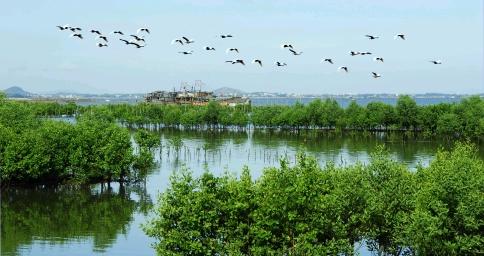 2025年7月臺風的最新動態(tài)與小巷特色小店的驚喜探秘