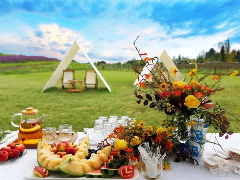 逢實螢資訊深度解析，影響及前景展望