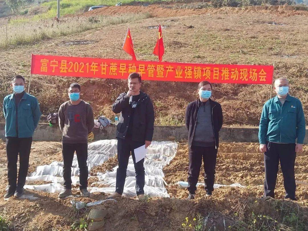 富寧招聘信息深度解析與個(gè)人觀點(diǎn)分享