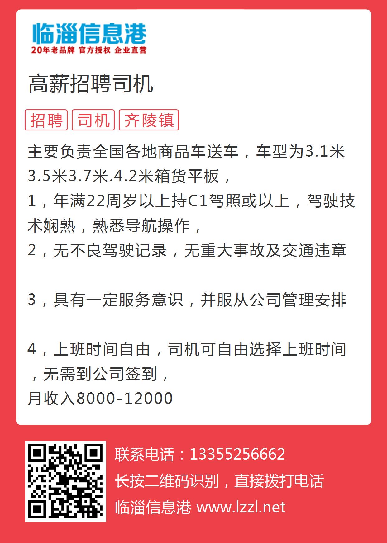 林州司機(jī)招聘信息探索，小巷中的職業(yè)風(fēng)味