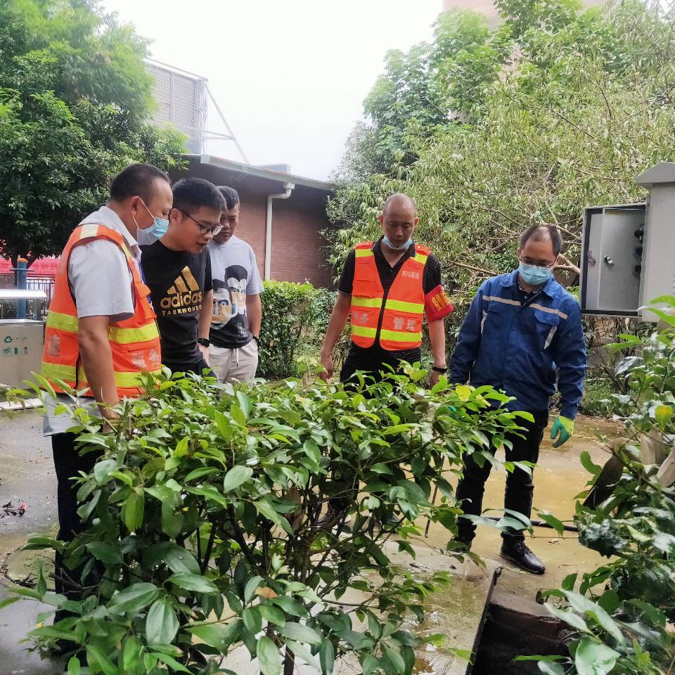 成都環(huán)保檢查動態(tài)更新，持續(xù)環(huán)境治理行動進(jìn)展報(bào)告